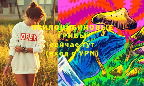 МДМА Бородино