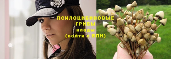 МДМА Бородино
