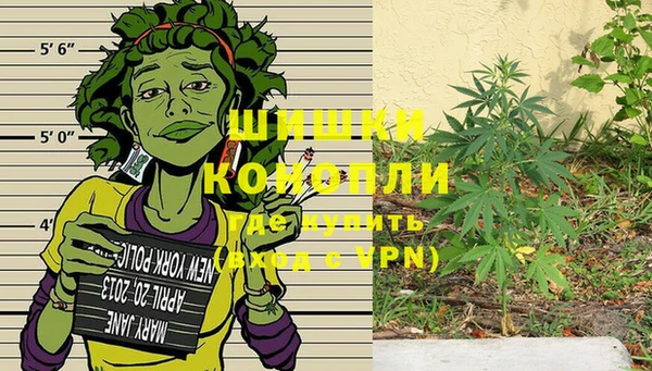2c-b Бронницы