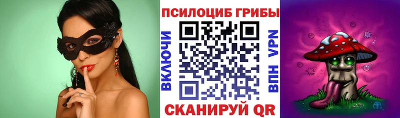 Галлюциногенные грибы Psilocybe  Купить где  Кимры 